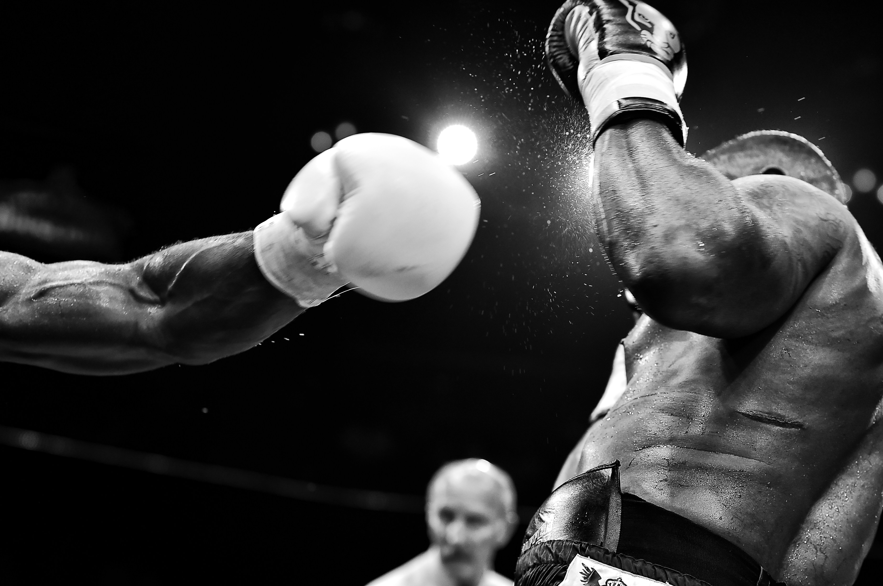 Upcoming Fights